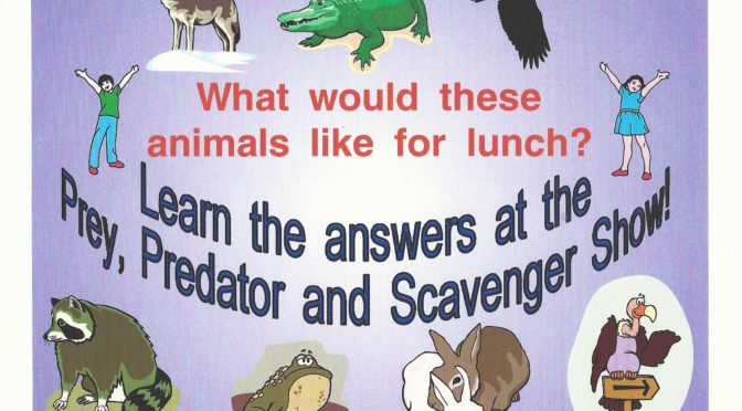 Nature Awareness Programs
